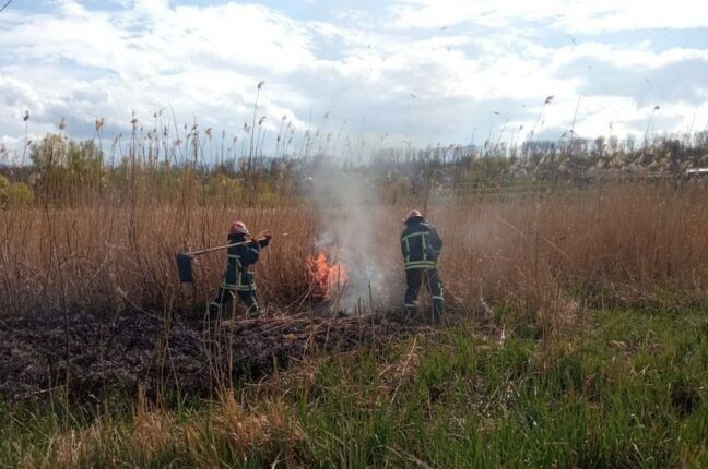 В Одесской области чрезвычайный уровень пожароопасности — ГСЧС