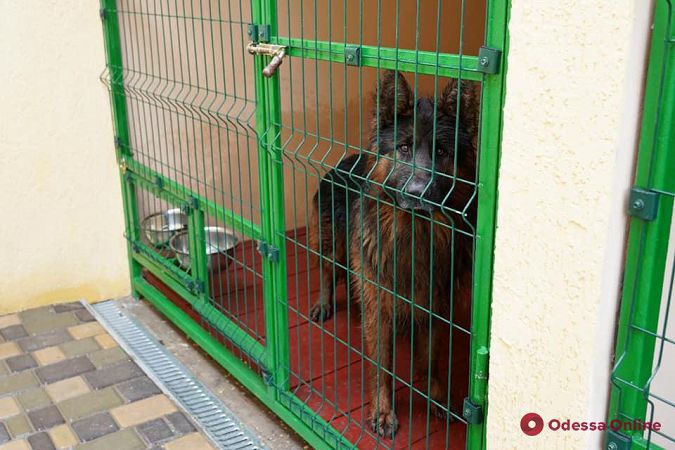 В Одесской области открыли обновленное отделение инспекторов пограничной службы (фото)