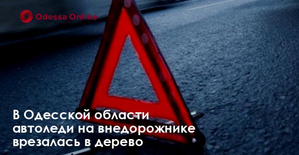 В Одесской области автоледи на внедорожнике врезалась в дерево