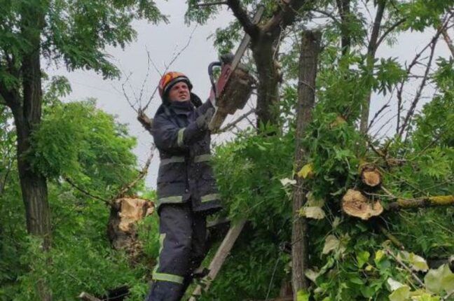 В Одесской области дерево упало на жилой дом