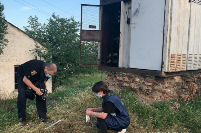В Одесской области от удара током погиб ребенок