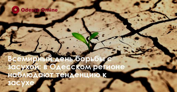 Всемирный день борьбы с засухой: в Одесском регионе наблюдают тенденцию к засухе