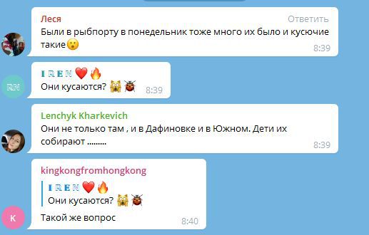 скрин