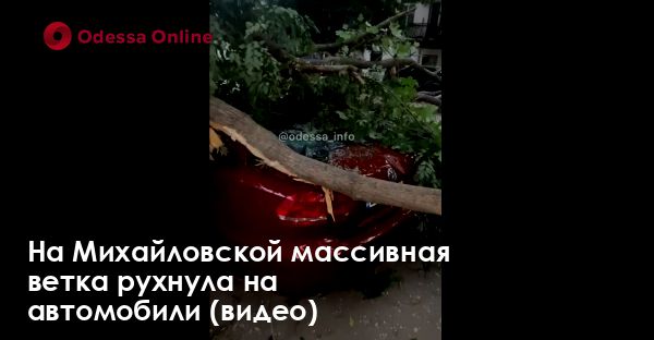 На Михайловской массивная ветка рухнула на автомобили (видео)