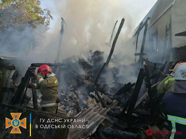 Тушили больше трех часов: в Одесской области дотла сгорело сенохранилище
