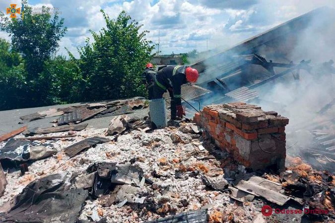В Одесской области сгорело заброшенное здание возле мясокомбината (фото, видео)
