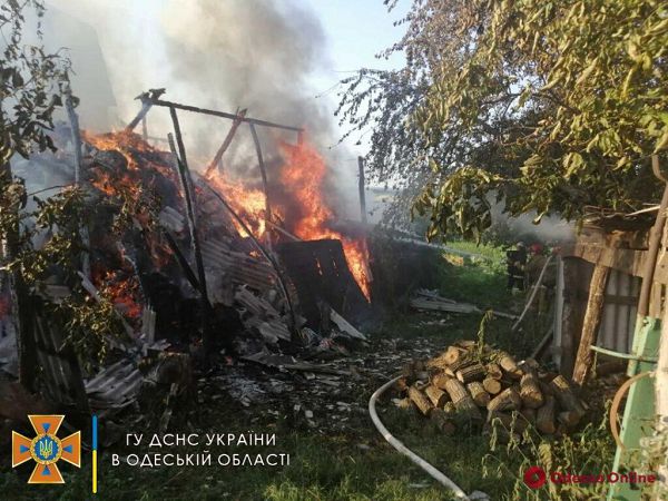 Тушили больше трех часов: в Одесской области дотла сгорело сенохранилище