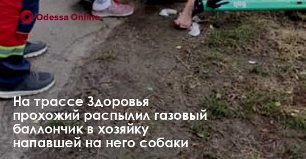 На трассе Здоровья прохожий распылил газовый баллончик в хозяйку напавшей на него собаки
