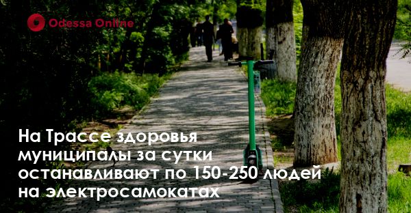 На Трассе здоровья муниципалы за сутки останавливают по 150-250 людей на электросамокатах