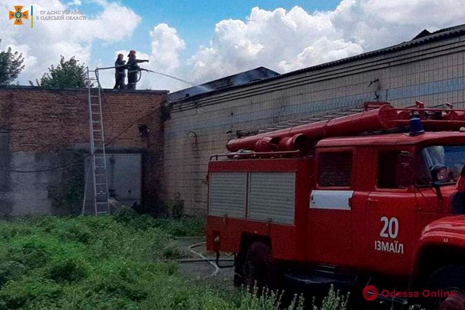 В Одесской области сгорело заброшенное здание возле мясокомбината (фото, видео)