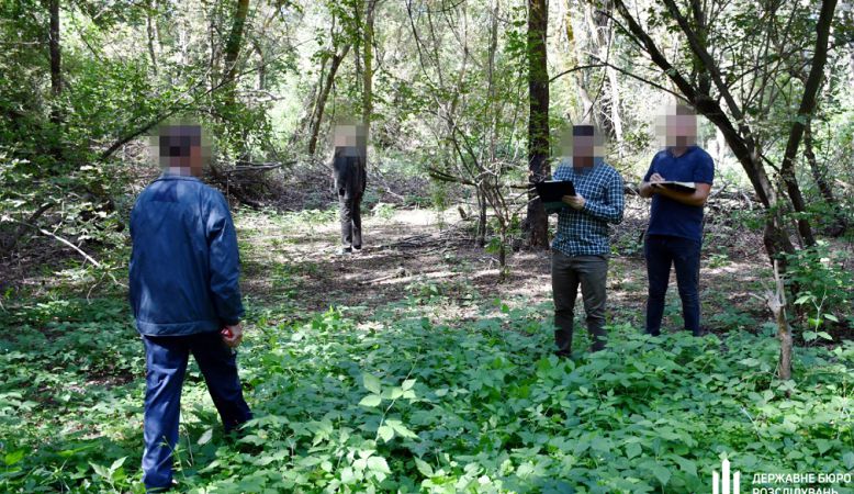 В Одесской области лесник «не заметил» вырубки 300 деревьев