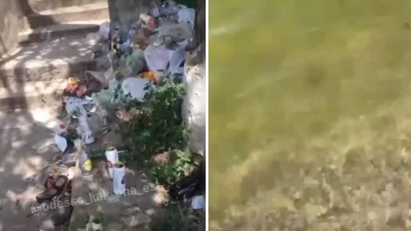 Зелене море й купи сміття: відпочивальники обурюються ситуацією в Затоці – відео