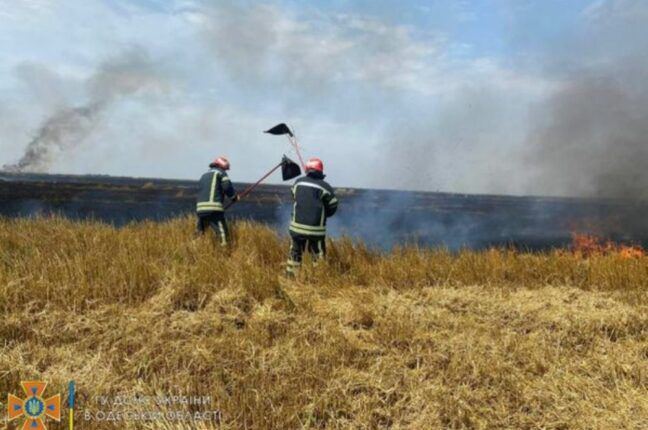В Одесской области дважды тушили пожар на пшеничных полях (ФОТО)