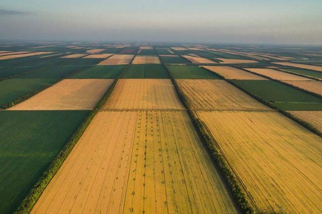 Рынок земли в Украине — Подробности