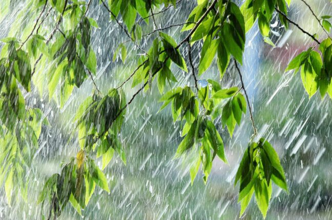 Синоптики прогнозируют кратковременные дожди и грозы в Одессе и области