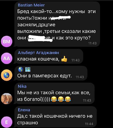 «Интересная кошечка»: в Одессе заметили катающегося в авто леопарда (видео)