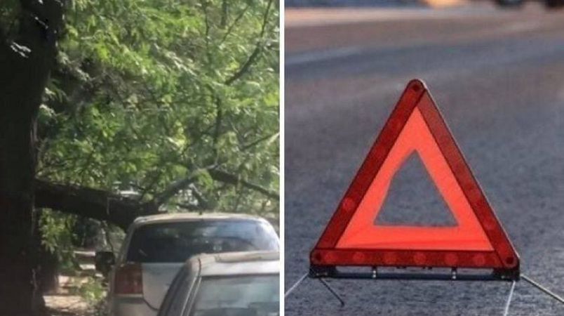 В Одесі дерево впало на автомобіль: проїзд заблоковано