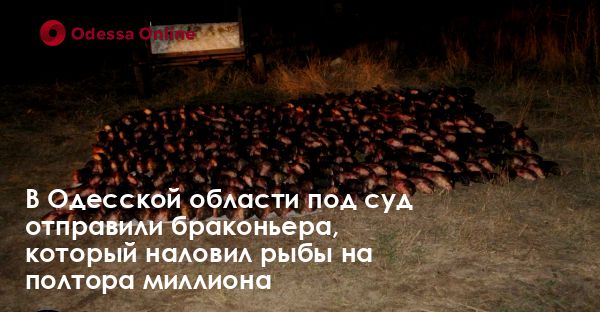 В Одесской области под суд отправили браконьера, который наловил рыбы на полтора миллиона