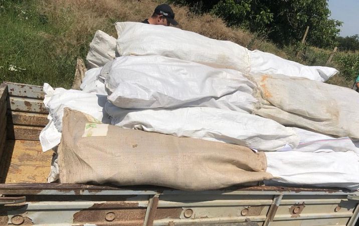 “Для себя”: у жителя Белгород-Днестровского района обнаружили 850 кустов снотворного мака