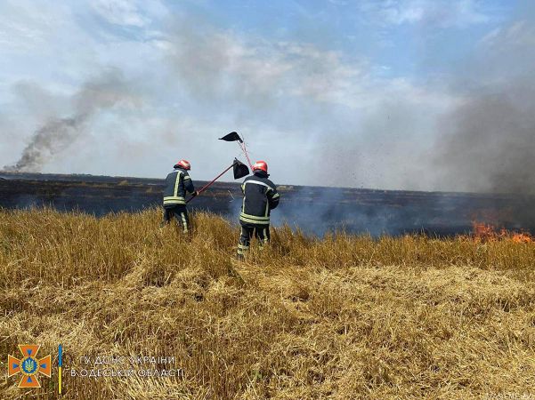 В Одесской области поджигают поля с пшеницой