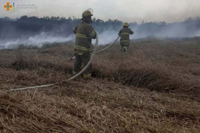 В Одесской области из-за молнии загорелось пшеничное поле