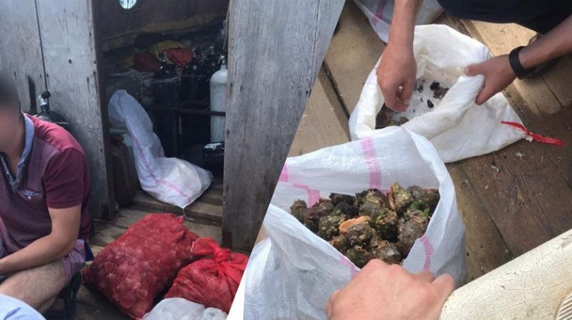 Завдав збитків на 250 тисяч гривень: в Одеській області затримали професійного браконьєра