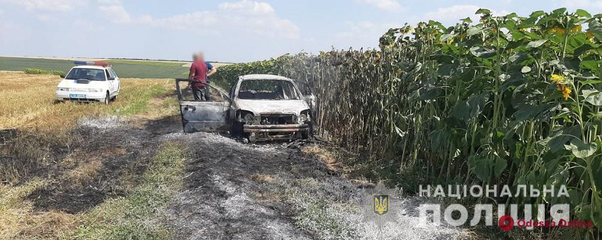 В Одесской области подожгли пшеничное поле — полиция открыла уголовное производство (фото, видео)