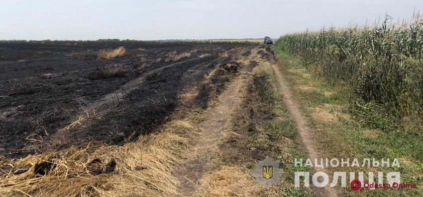 В Одесской области подожгли пшеничное поле — полиция открыла уголовное производство (фото, видео)