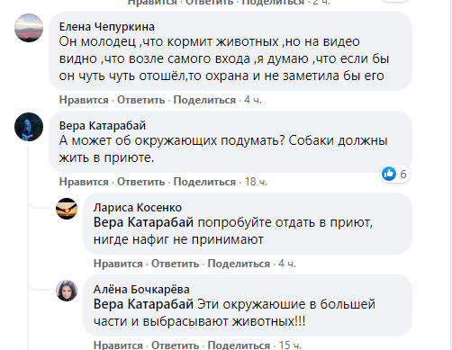 В Одессе бездомный просит еду для собак
