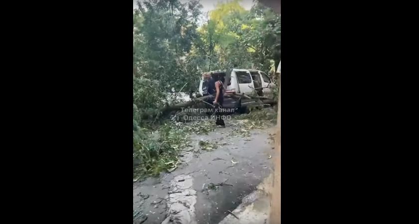 В центре Одессы дерево упало на микроавтобус (ВИДЕО)