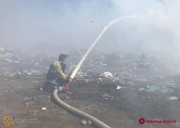 В Одесской области горела свалка (фото, видео)