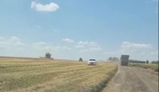 В Одеській області сільгосппідприємство незаконно перетворило пасовища на свої хлібні лани