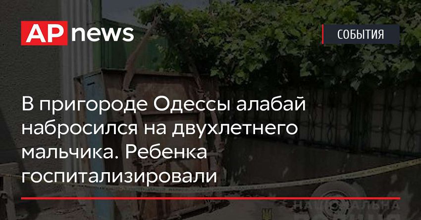 В пригороде Одессы алабай набросился на двухлетнего мальчика. Ребенка госпитализировали