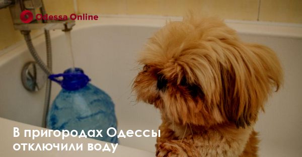 В пригородах Одессы отключили воду
