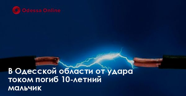 В Одесской области от удара током погиб 10-летний мальчик