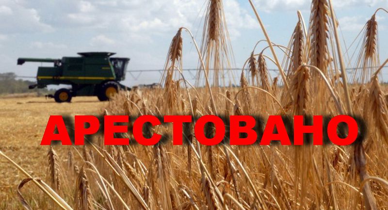 От моря до земли: кто из СБУ стоит за рейдерским захватом земли у жителей Килийской ОТГ
