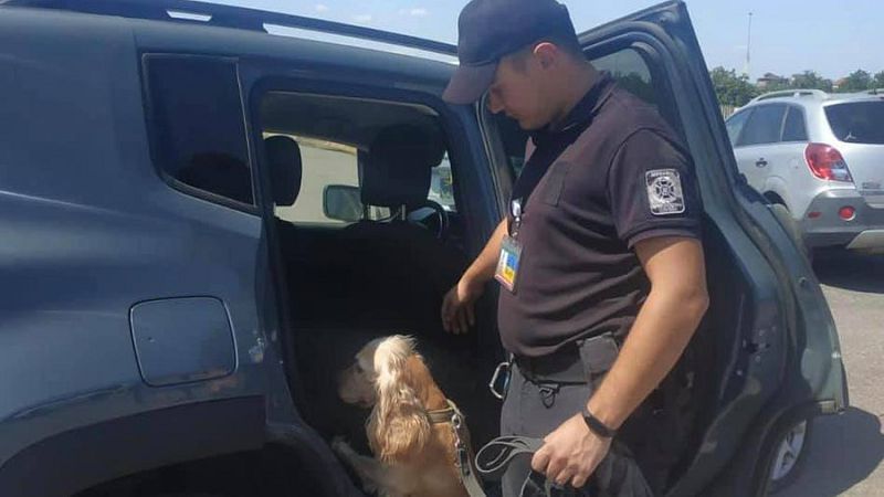 У порту на Одещині виявили набої та наркотики у битих автівках
