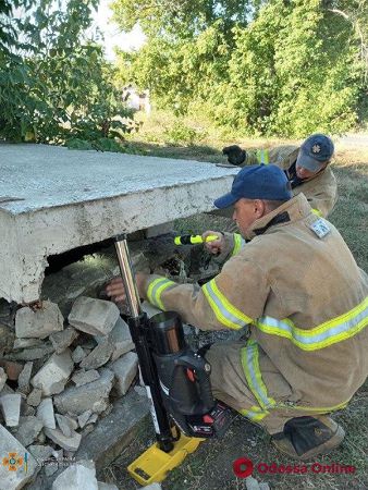 В Одесской области спасли упавшую в выгребную яму собаку