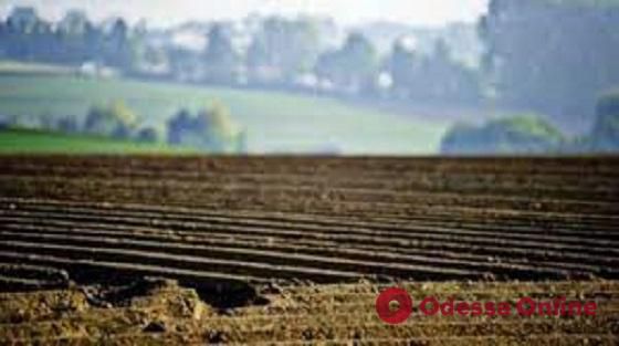 Ущерб на 160 тысяч: жителя Одесской области будут судить за захват 50 гектаров сельхозземель