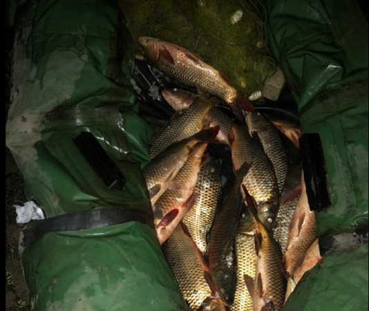 В Одеській області вночі спіймали рибалку-браконьєра: виловив риби на понад 6 тисяч гривень