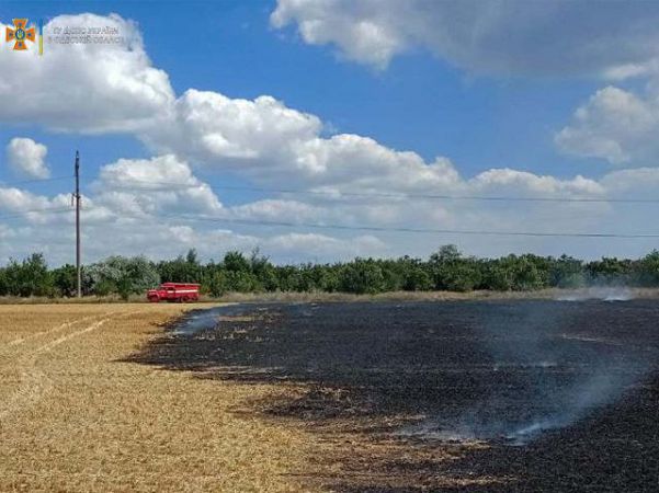 В Одесской области чрезвычайный уровень пожарной опасности: горят поля