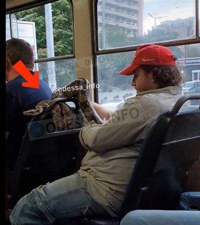 Одессит проехался в трамвае с питоном и стал героем соцсетей (фото)