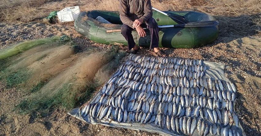 В Одеській області затримали рибалку браконьєра: виловив кефалі на понад 170 тисяч гривень