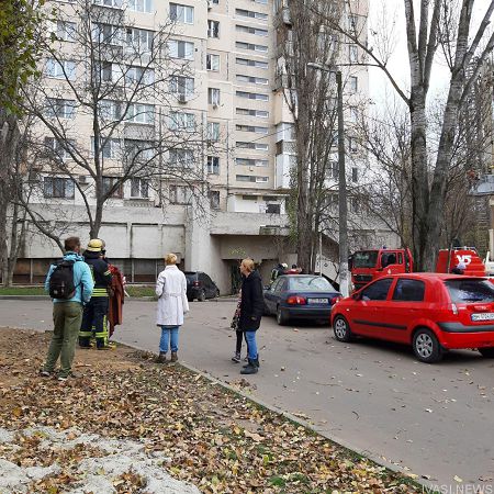 В Одессе спасатели сняли кота с дерева (фото)