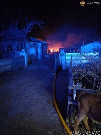 В Одесской области сгорело стадо овец