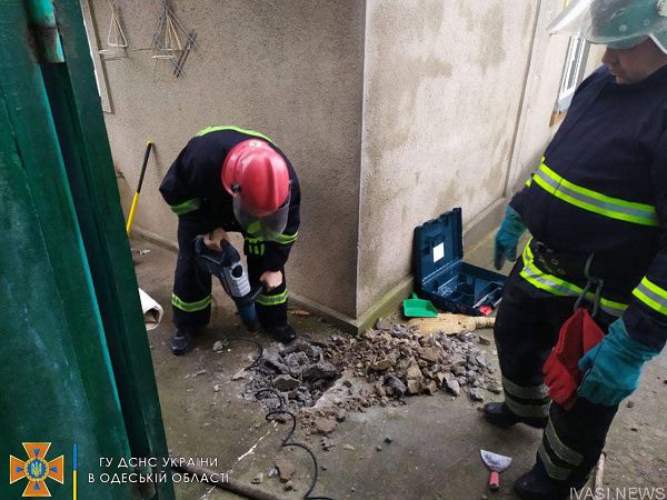 Одесские спасатели разобрали двор, чтобы достать застрявшего в сливной трубе щенка