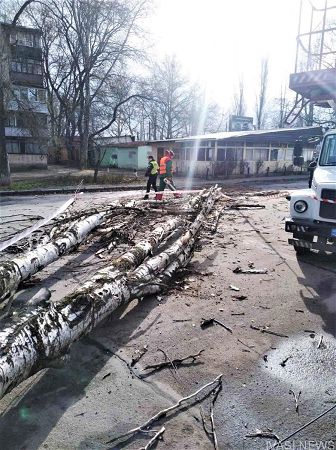Одесские коммунальщики ликвидируют последствия штормового ветра