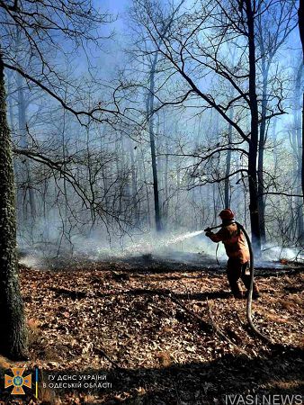 В Одесской области продолжаются пожары: пострадало Балтское лесничество