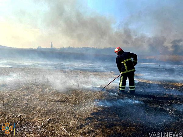 Пожары в экосистемах Одесской области продолжаются: один поджигатель уже наказан