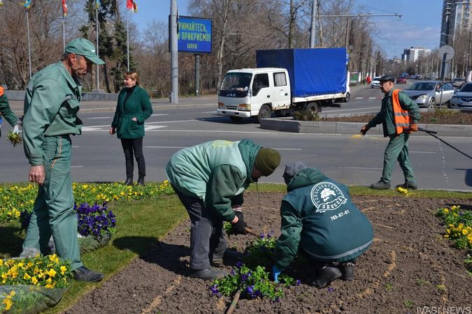 Озеленители КП «Горзелентрест» продолжают высаживать весенние цветы в Одессе
